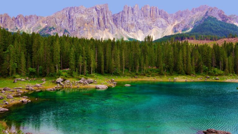 7-sagre-trentino-compagni-viaggio